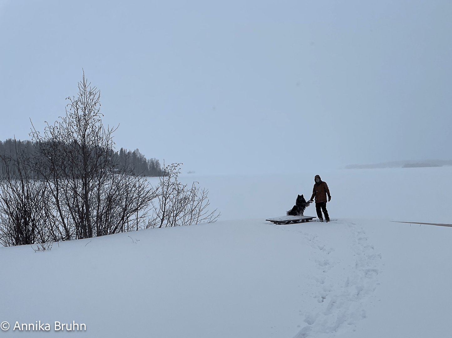 Schnee bis zur Tischkante